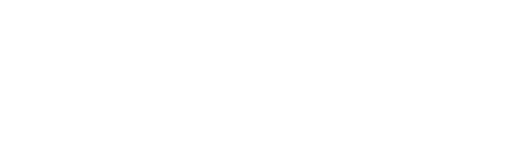 zeearc logo white